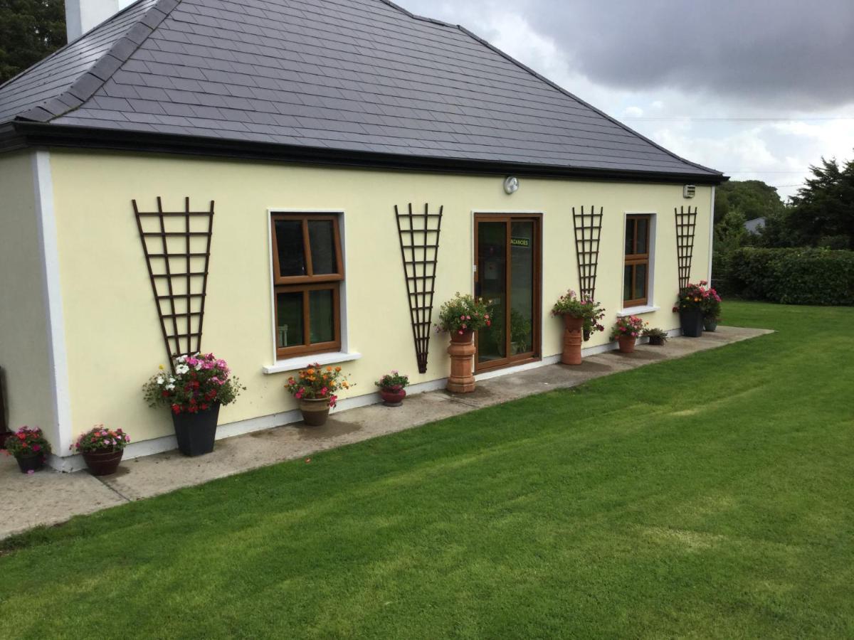 Rose Cottage Westport Exteriör bild